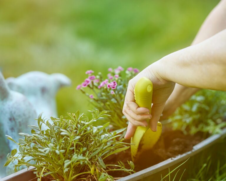 Garden lime sulfur bag soil bed