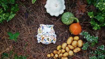 Square foot vegetable beds for beginners: simple layouts that really work