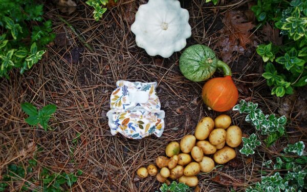 Square foot vegetable beds for beginners: simple layouts that really work