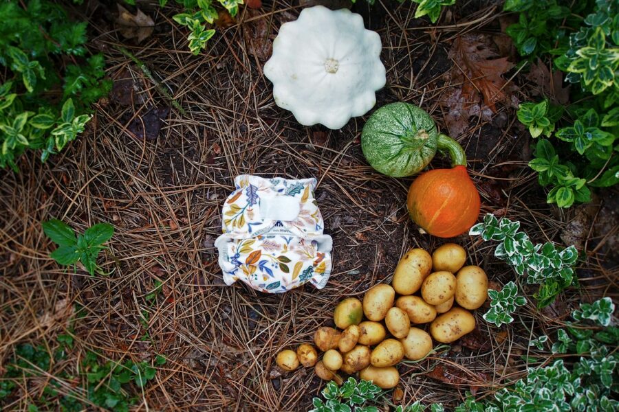 Square foot vegetable bed overhead