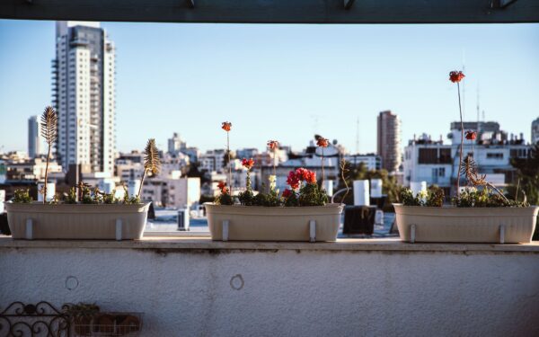 Balcony garden design ideas that turn a plain ledge into a planted outlook