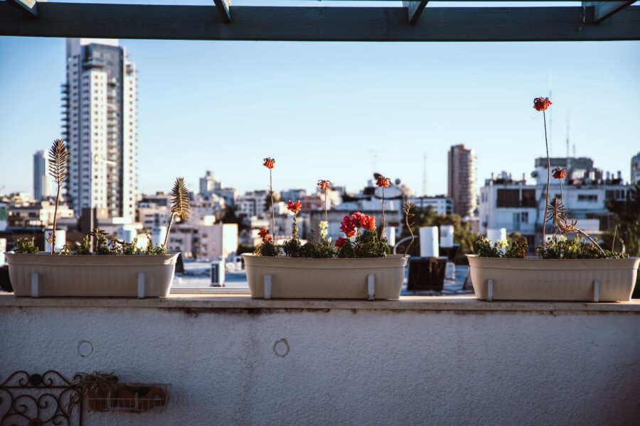 Balcony garden containers