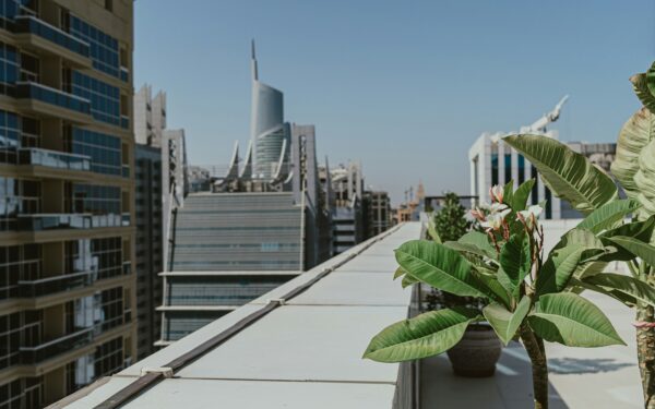 Balcony garden design ideas that turn vertical views into green outlooks