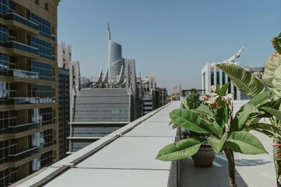 Balcony garden containers