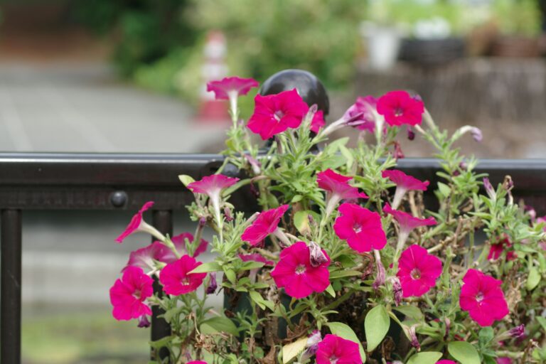 Balcony railing boxes