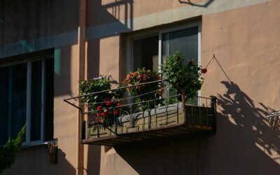 Balcony salad boxes: how to grow flowers and vegetables together in small spaces
