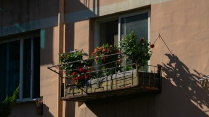 Balcony salad boxes: how to grow flowers and vegetables together in small spaces