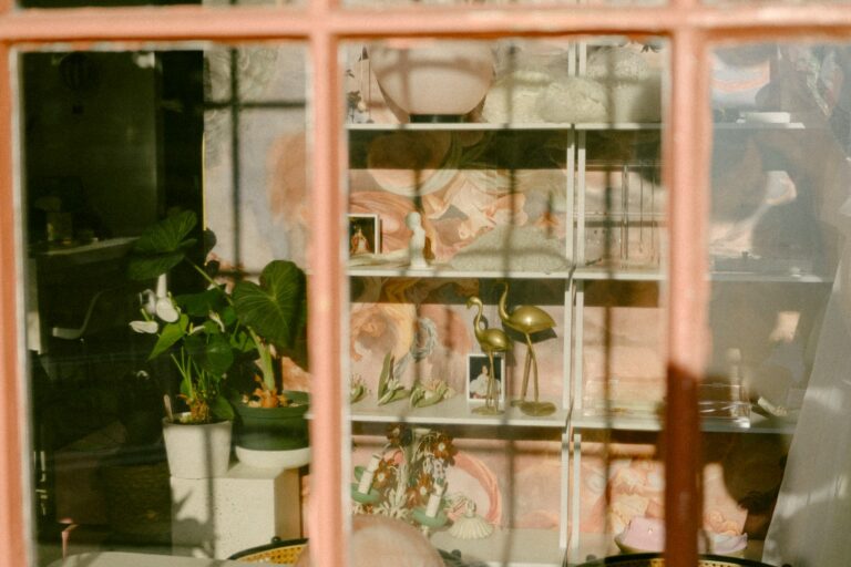 Indoor plant shelf