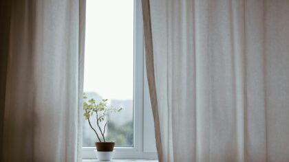 Beginner-friendly guide to draft-safe homes for your house greenery