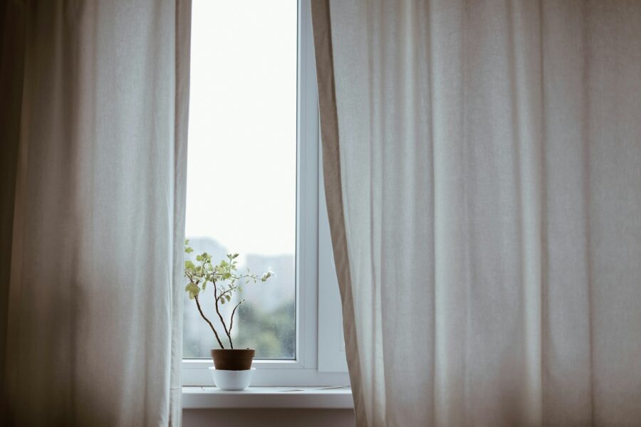 Houseplants window heavy