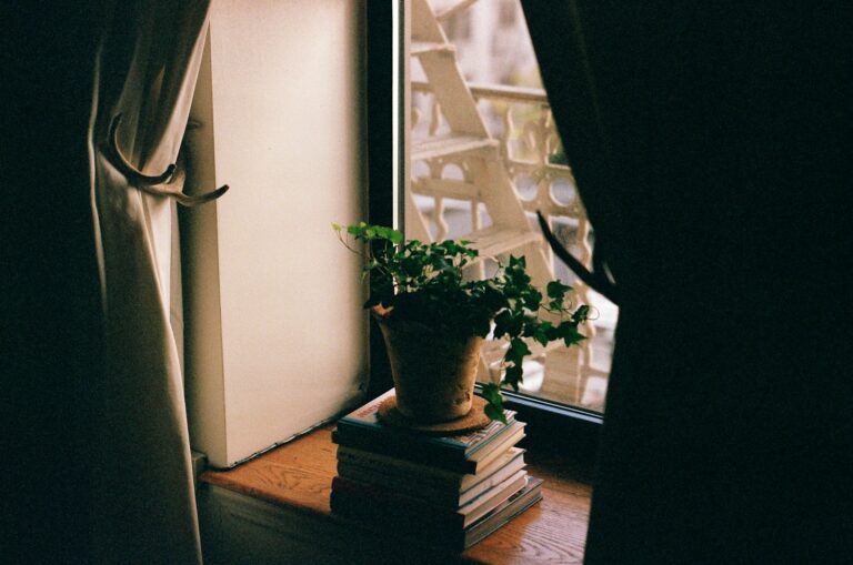 Houseplants window heavy