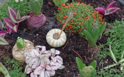 Beginner-friendly soil aeration tips that quietly transform root growth