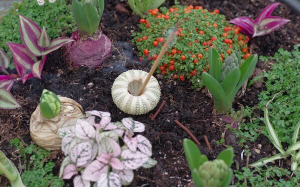 Beginner-friendly soil aeration tips that quietly transform root growth