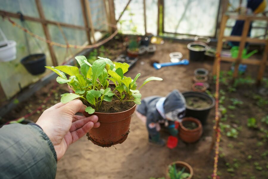 Hand holding potting