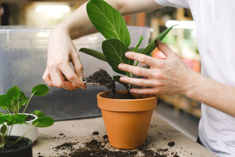 Hand holding potting