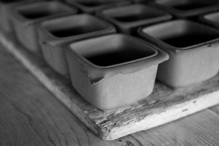Houseplant pots tray bottom watering