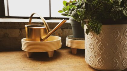 Bottom watering houseplants for healthier roots and fewer pests