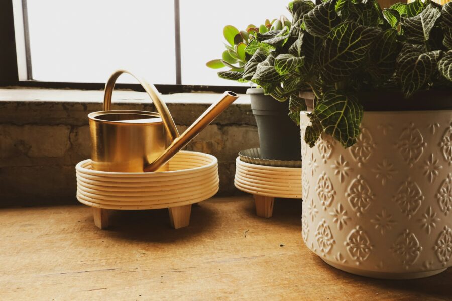 Houseplant pots tray bottom watering