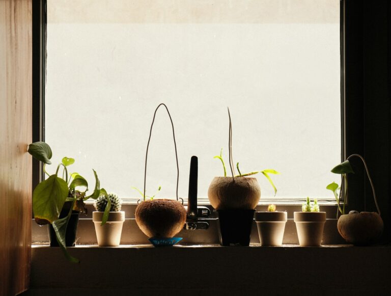 Indoor plants windowsill watering tray