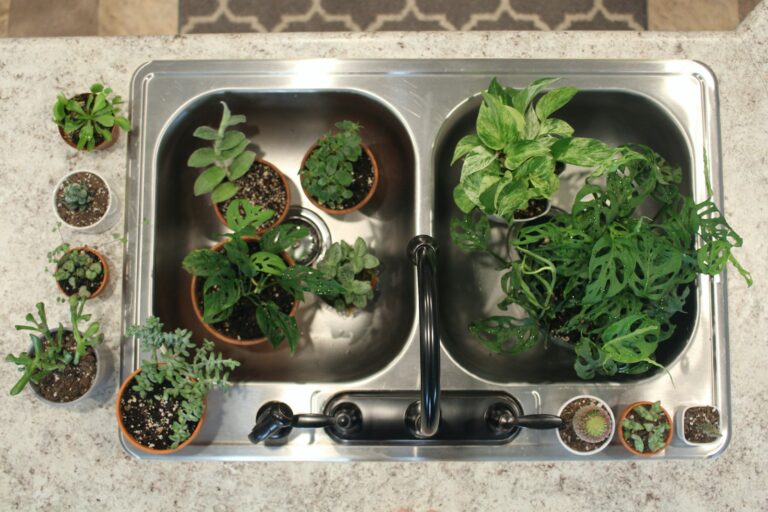 Bottom watering potted