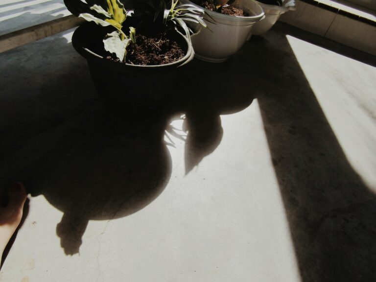 Hand shadow light