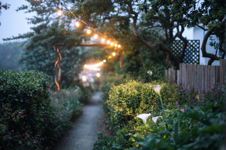 Garden trellis fence