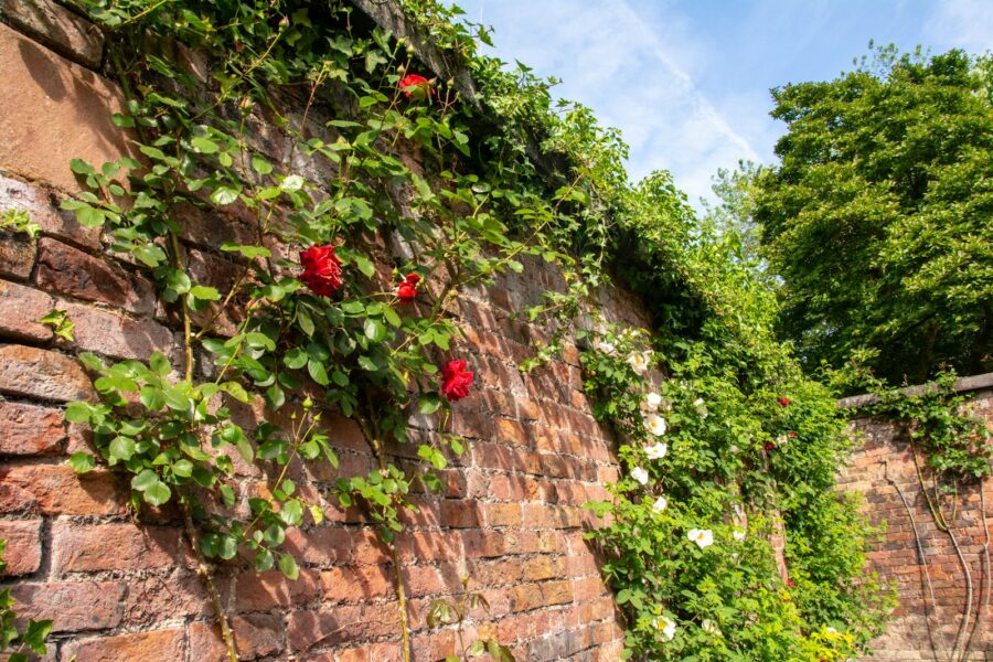 Garden brick wall