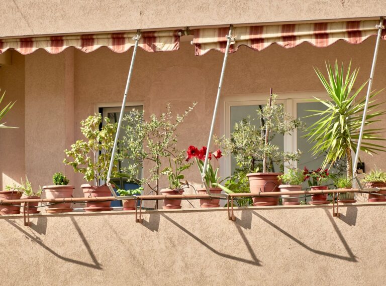 Balcony garden tall planters small patio chairs