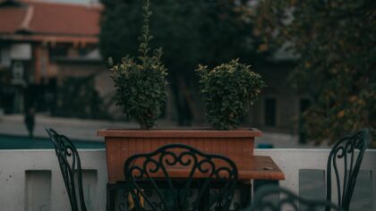 Clever pots and planters that make tight outdoor spaces feel generous