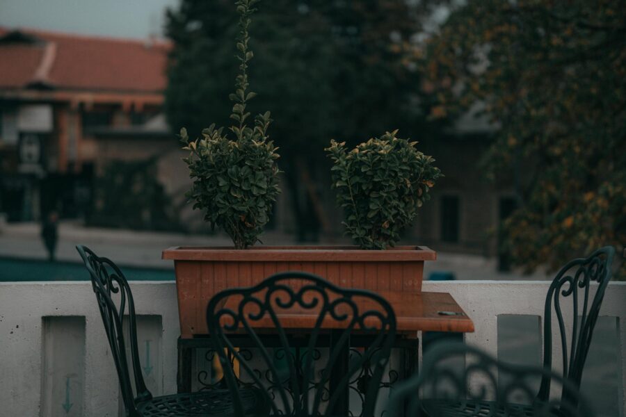 Balcony garden tall planters small patio chairs