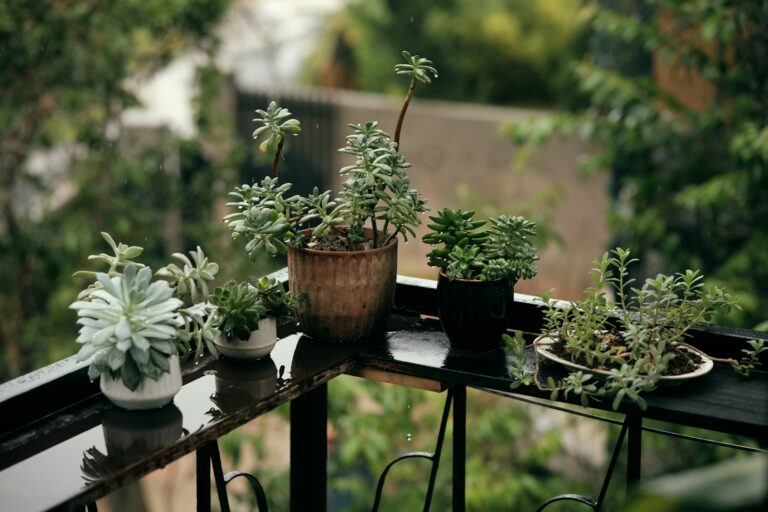 Potted plants different heights narrow balcony rail modern
