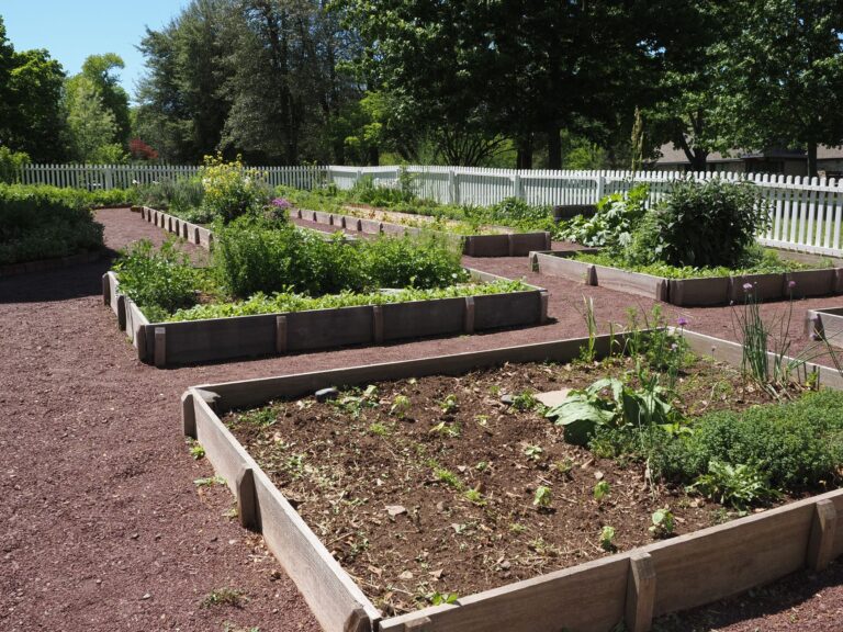 Raised garden beds