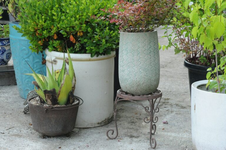 Patio container garden