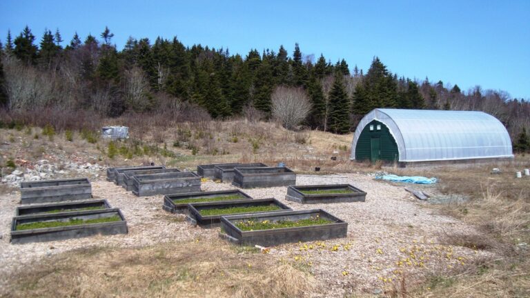 Raised garden beds