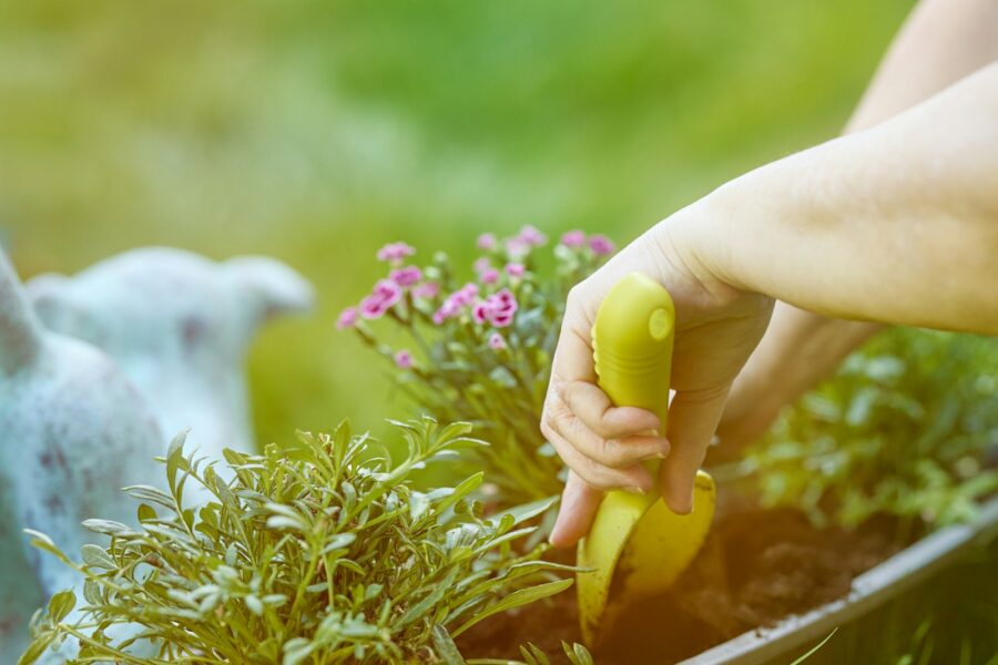 Garden bed compacted soil cracked ground hand trowel