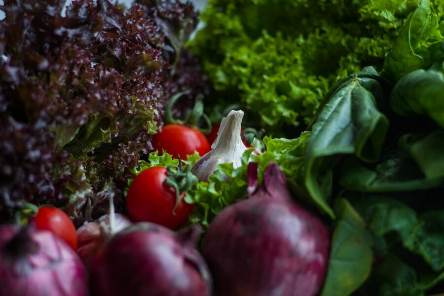 Mixed vegetable bed