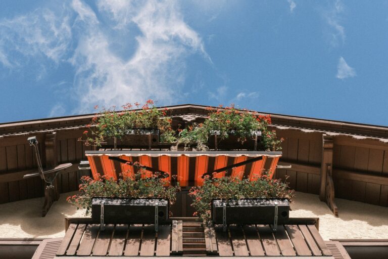 Container potatoes balcony
