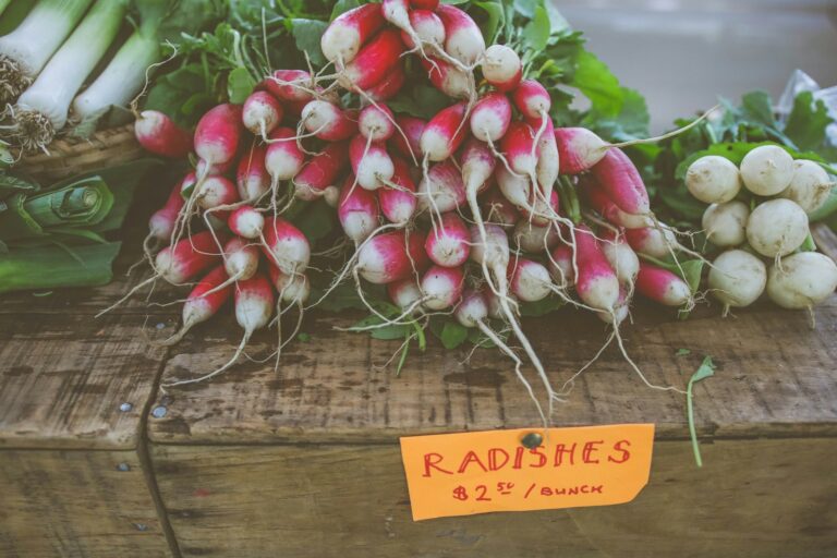Radishes terrace container