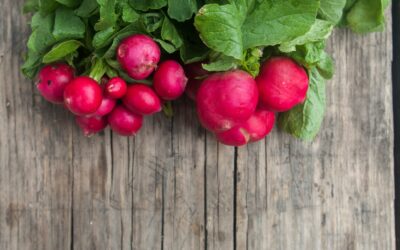 Container radishes: how to raise crisp roots on a balcony or patio