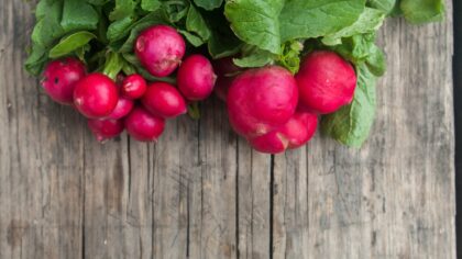 Container radishes: how to raise crisp roots on a balcony or patio