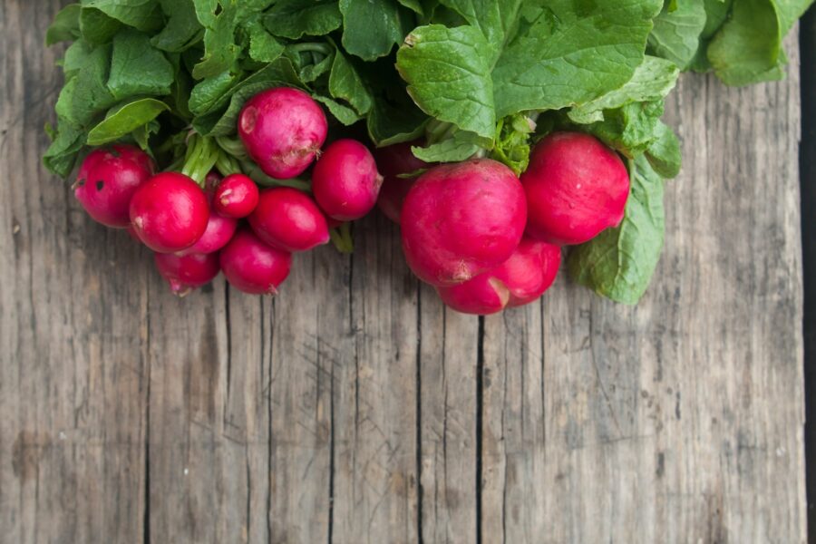 Radishes terrace container