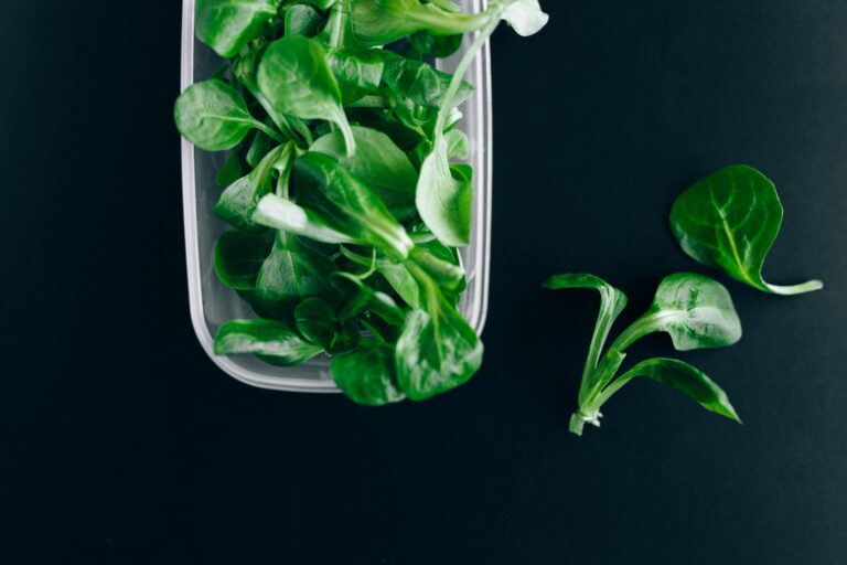 Cold frame lettuce