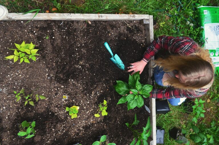 Raised garden bed