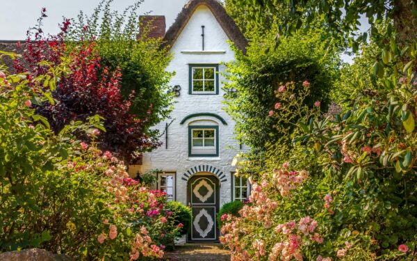 Cottage garden design basics for relaxed, colourful borders