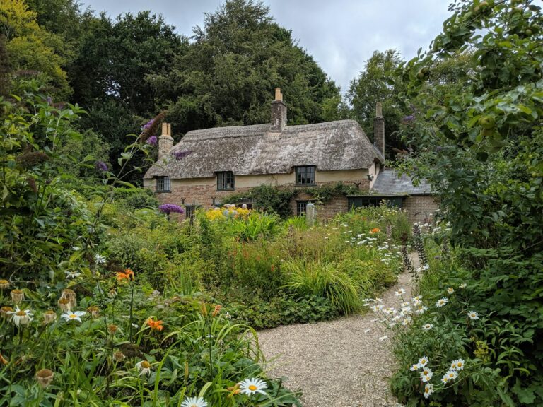 Cottage garden close perennials herbs