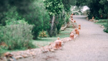 Curving garden paths that guide the eye and slow the pace