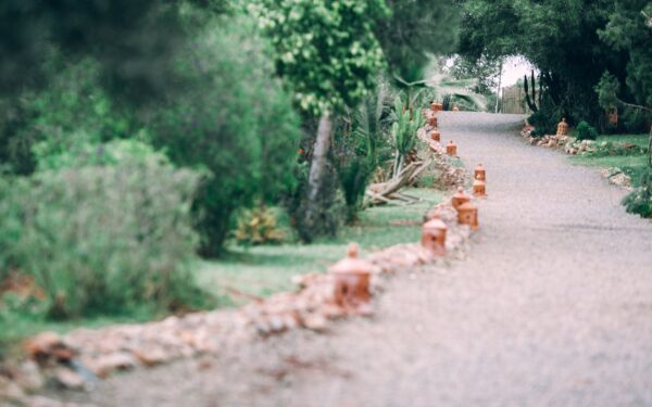 Curving garden paths that guide the eye and slow the pace