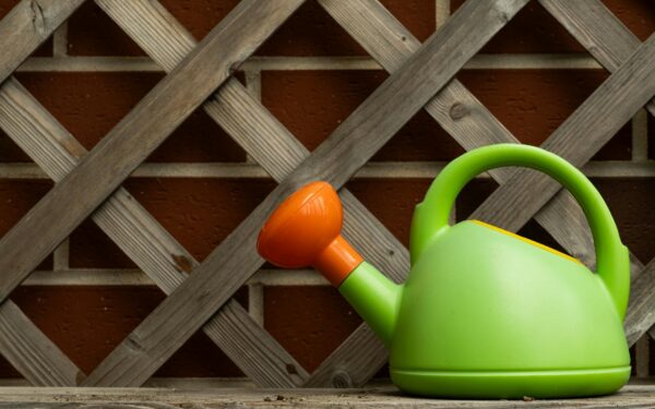 Designing a small-space edible garden that looks as good as it tastes