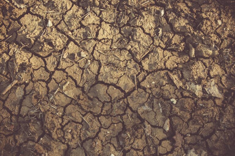 Dry garden soil cracked ground mulch