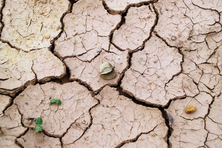 Dry garden soil cracked ground mulch